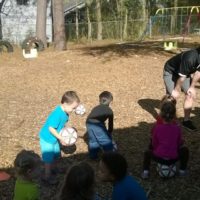 gainesville-preschool-p.e